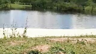 Que lindo 2