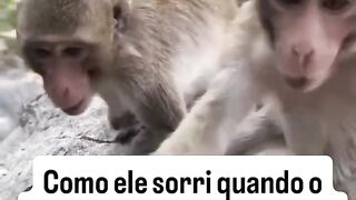 Remix com wildlife and animals