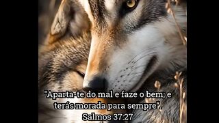APARTA-TE DO MAL E FAZE O BEM | SALMOS 37:27