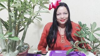Desert rose pruning (poda da rosa do deserto)