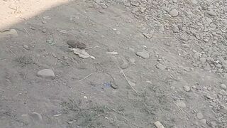 Edukasi, Motivasi, Inspirasi, Faktaunik, Quotes, febspot video, viral, fyp, shorts, 11