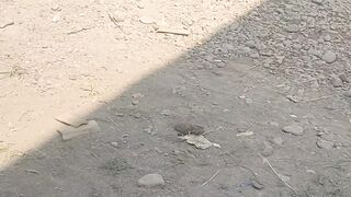 Edukasi, Motivasi, Inspirasi, Faktaunik, Quotes, febspot video, viral, fyp, shorts, 12