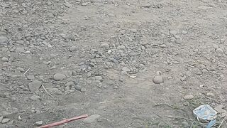 Edukasi, Motivasi, Inspirasi, Faktaunik, Quotes, febspot video, viral, fyp, shorts, 13
