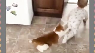 Kucingnya Ga Mau Lepas