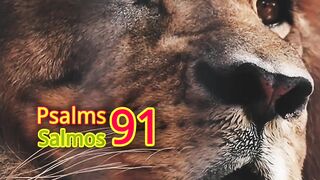 PSALMS 91 - Macello Ricco