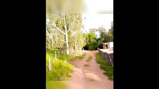 Um dia de paz em meio a natureza