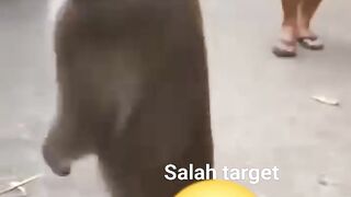 akaboi 11