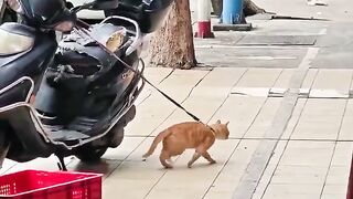 funny momment videos 4