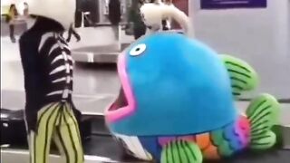 funny momment videos 8