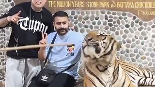 funny momment videos 10