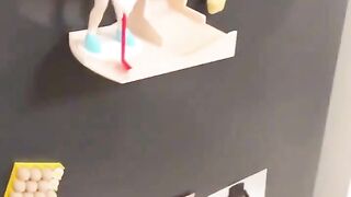 funny momment videos 13