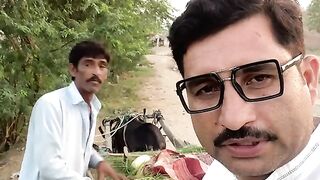 Powar Glasses
