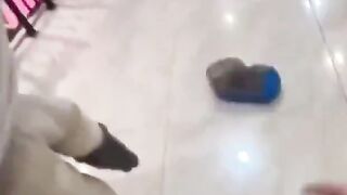 funny momment videos 15