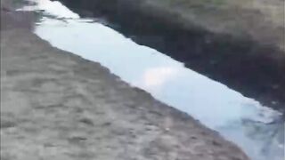 que situação