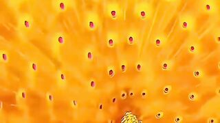 "FLOWER HEAVEN EXISTS MOST BEAUTIFUL GARDEN SO SATISFYING"