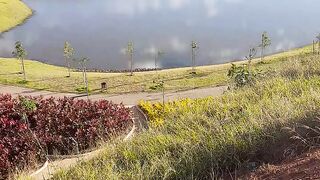 Passeio no parque