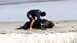 SAUVOU LEÃO MARINHO