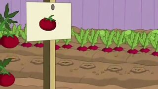 Tom & Jerry’s Garden Battle Gets Out of Control! 😂🍅