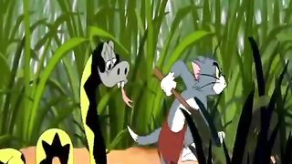 Tom Walks Into the Tall Grass… BIG Mistake! 😂🌿