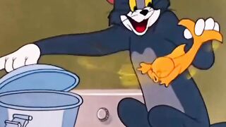 Tom Starts Cooking… This Can’t End Well! 😂🍲