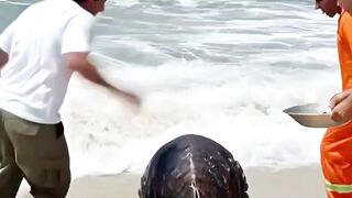 #que todos possam receber as bençãos de nossa mãe Santíssima 🙏🙏🙏