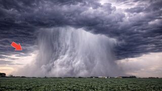 Most Unbelievable Nature Moments Ever Caught on Camera 🌍😱
