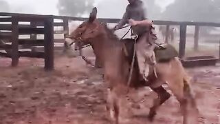 ¡EL BURRO SALTÓ COMO LOCO, PERO EL JINETE NO CAYÓ! 😂🐴