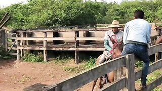 ¡EL BURRO SALTÓ ALTO, PERO EL JINETE NO SE CAYÓ! 😂🐴