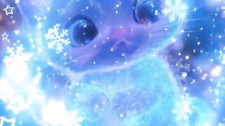 Gatinho 3