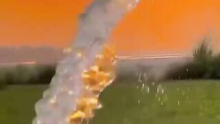 #fry# 9