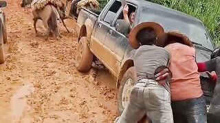 SURPRISING CURIOSITIES AND INCREDIBLE FACTS FROM BRAZIL! 😱🧠 33