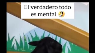 EL GATO VOLADOR 😂 | Reaccionando a momentos inesperados