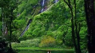 the beauty of nature 3