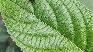 Beauty of Simple Nature