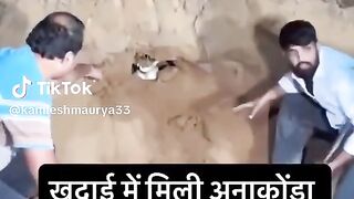 ভয়া নক