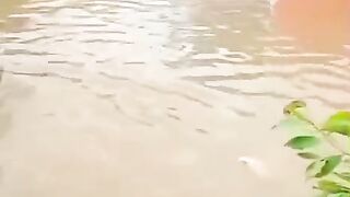 Water store in GElPS School And GES Moan Bhattian