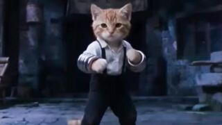 Kung Fu Legend meow Cat - The Ultimate Kung Fu Battle
