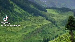 Tilawat e Quran Pak 12