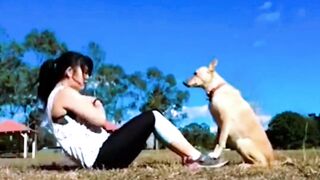 funny dogs videos 😂😂😂