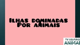 The islands dominated by animals