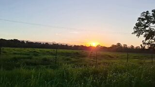 Sunset 94