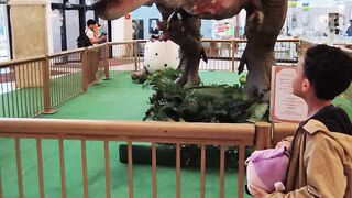 Dino 2 Shopping D