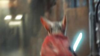 O gato herói 😂😂