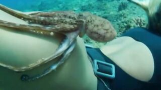 diving 2