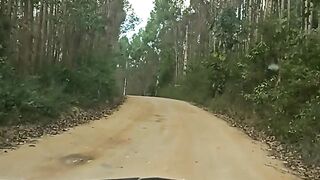 Paraíso 5
