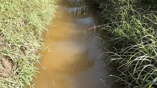 Using worms as bait can catch big catfish