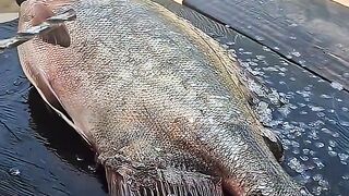 SURPRISING CURIOSITIES AND INCREDIBLE FACTS FROM BRAZIL! 😱🧠 39