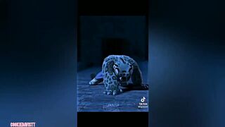 Coldest Moments Of All Time ???? TikTok Compilation ???? Sigma Moments #21