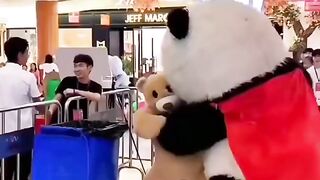 Panda & Bear Fight - Part 1- Funny Video #shorts #funny #comedy.
