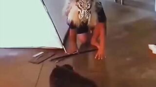 #FUNNY CATS#DO NOT LAUGH